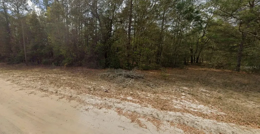 Guy Avenue Interlachen FL 32148