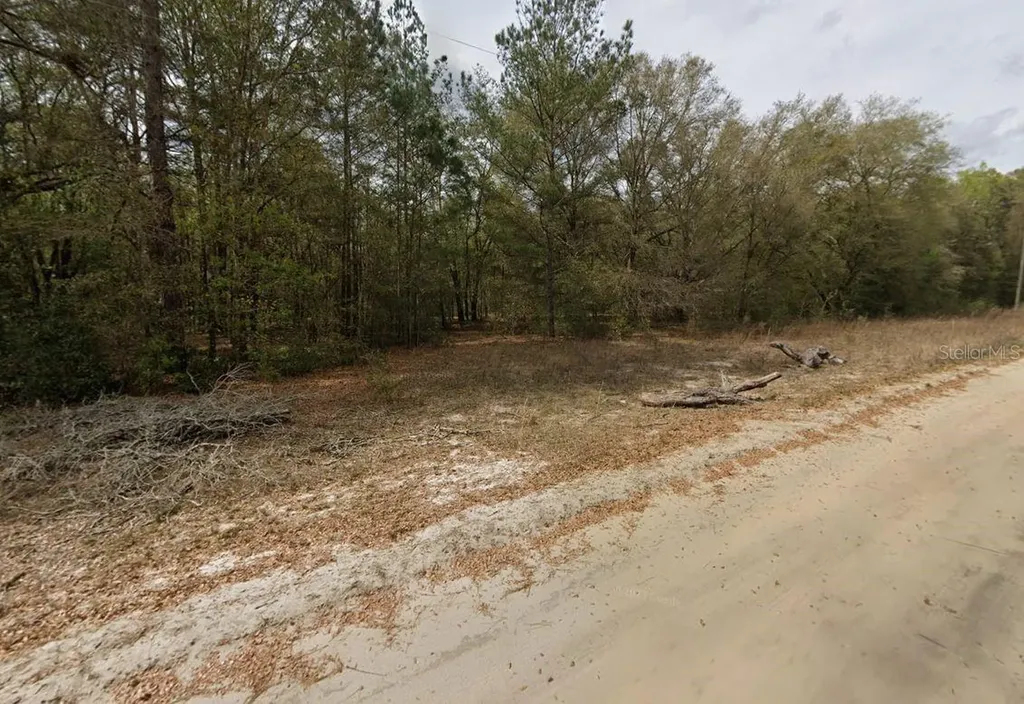 Guy Avenue Interlachen FL 32148