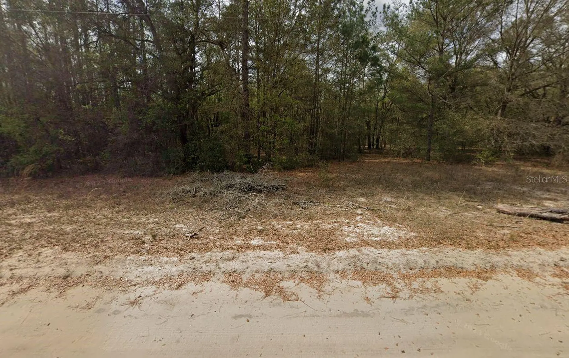 Guy Avenue Interlachen FL 32148