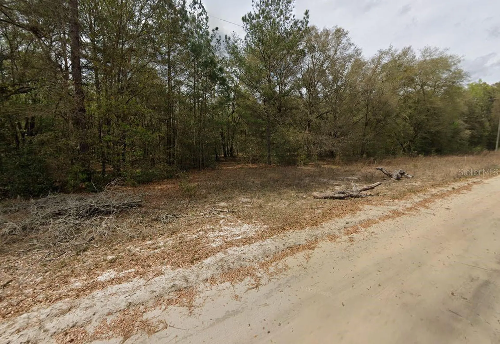 Guy Avenue Interlachen FL 32148