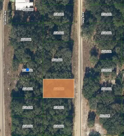 Guy Avenue Interlachen FL 32148