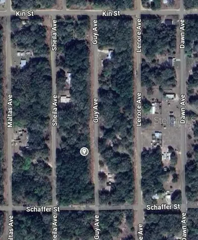 Guy Avenue Interlachen FL 32148