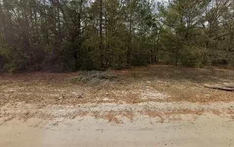 Guy Avenue Interlachen FL 32148