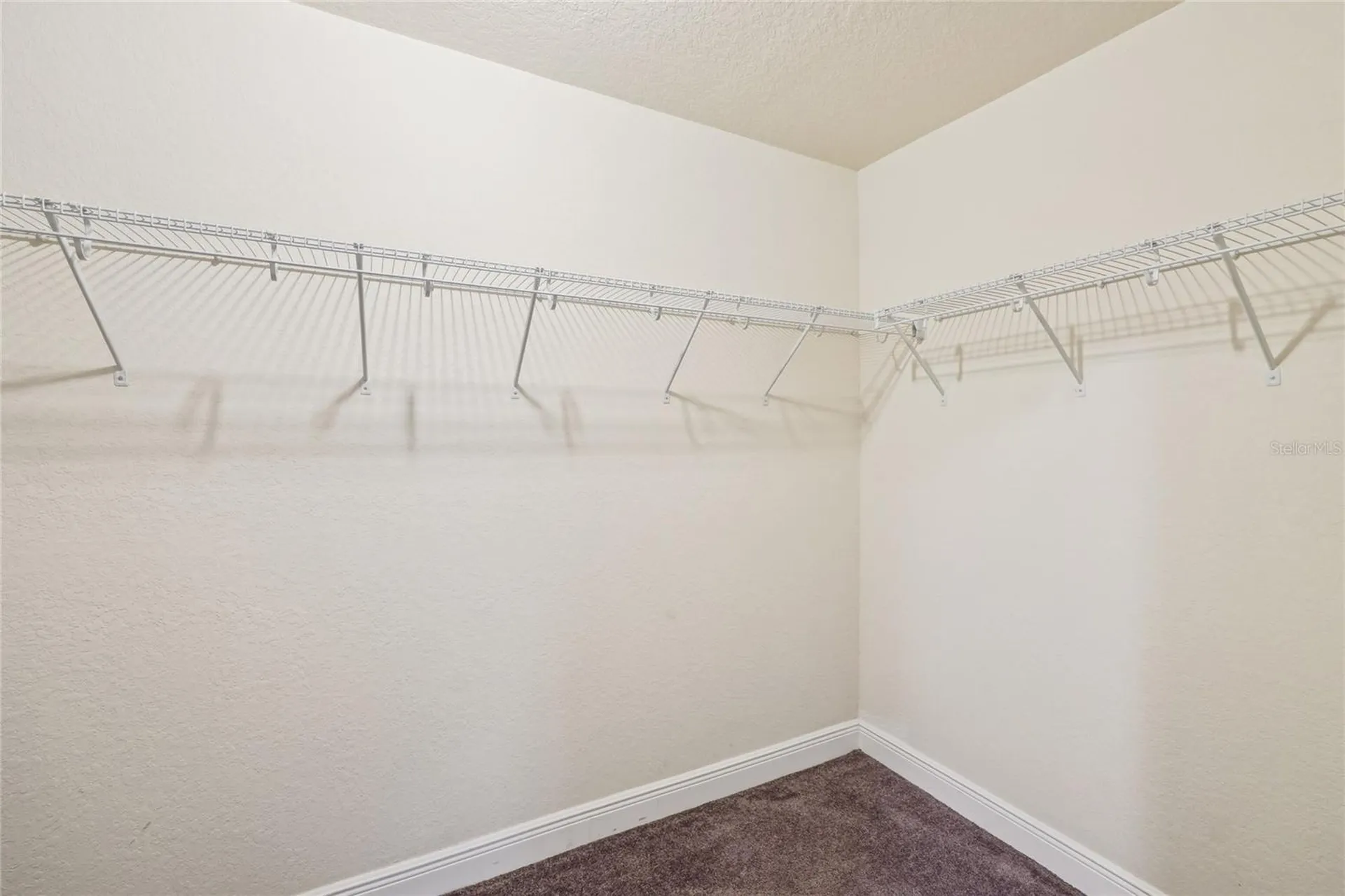 5134 Jenson Avenue Spring Hill FL 34608