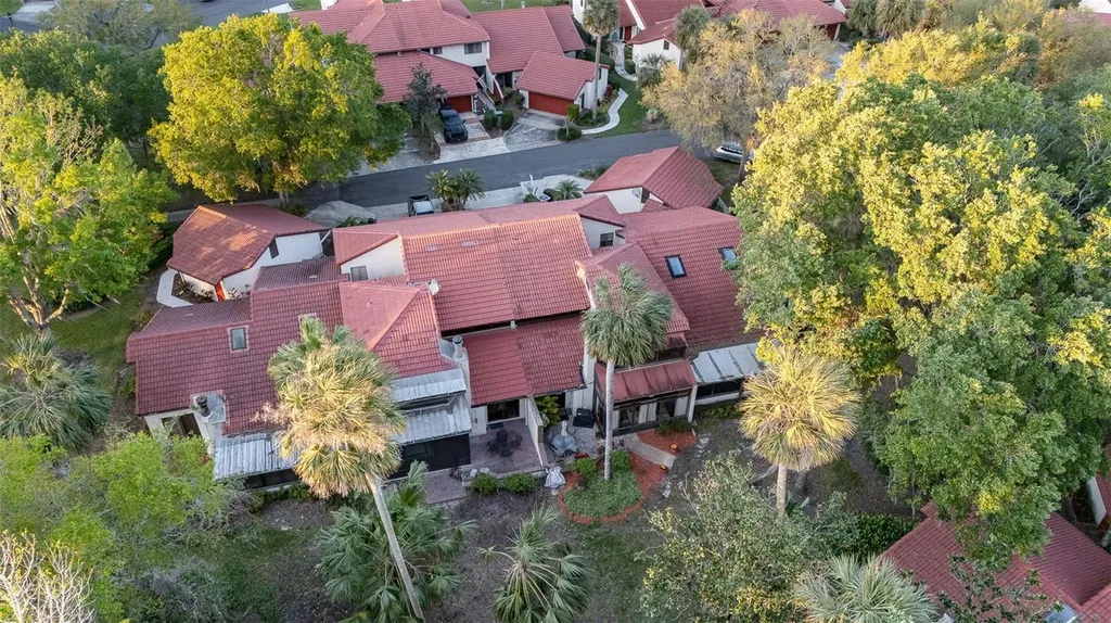 702 Clusterwood Drive Yalaha FL 34797