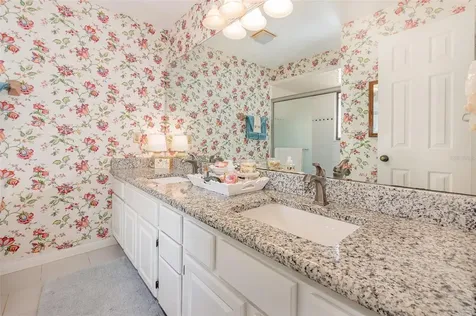 702 Clusterwood Drive Yalaha FL 34797