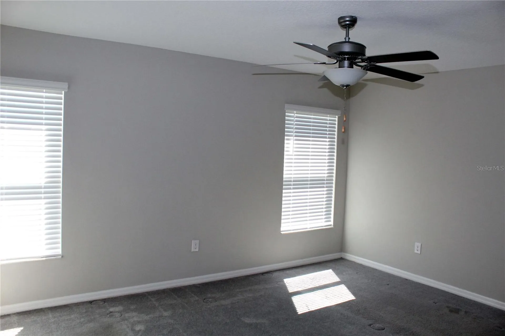 17152 Sunshine Mimosa Street Wimauma FL 33598