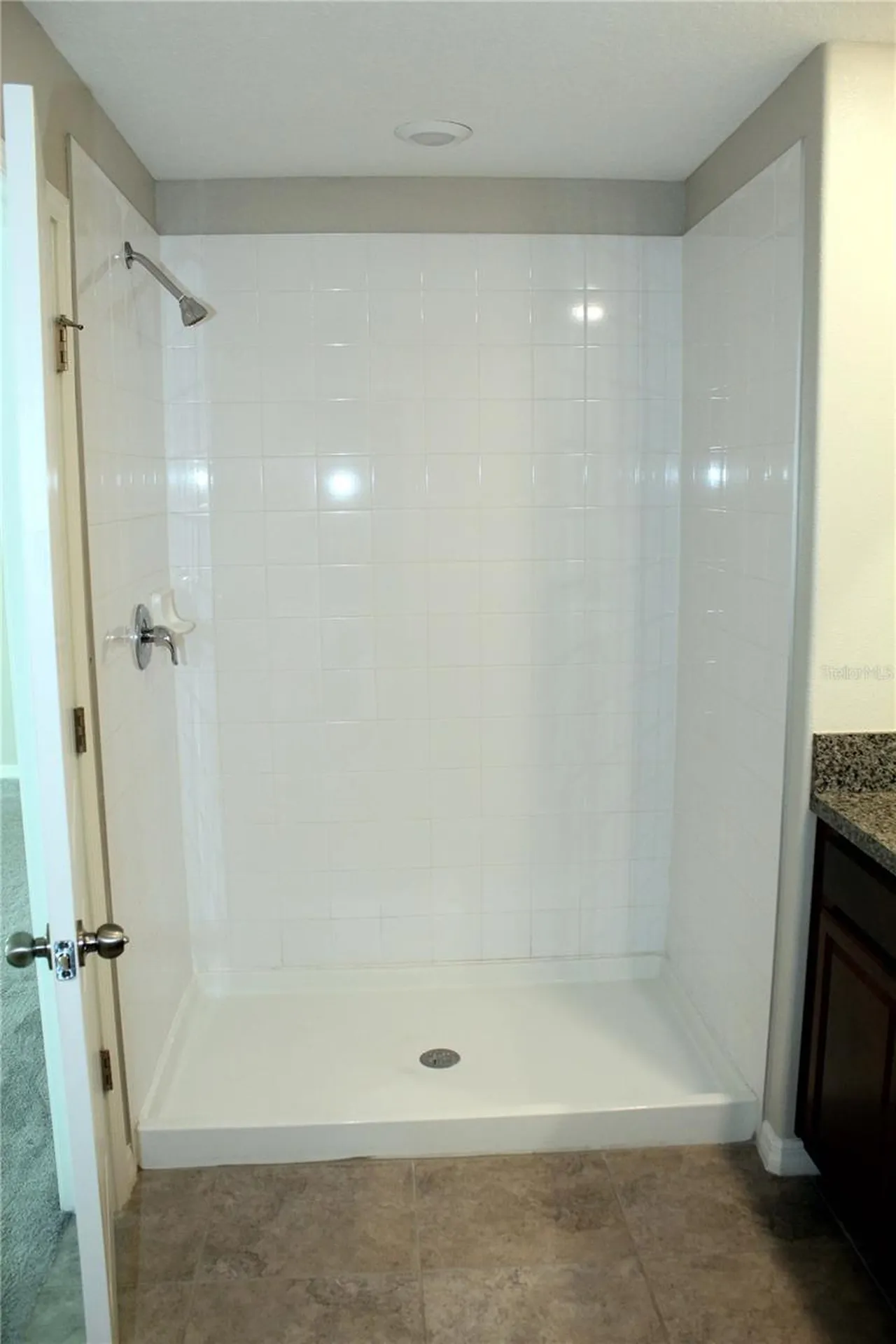 17152 Sunshine Mimosa Street Wimauma FL 33598