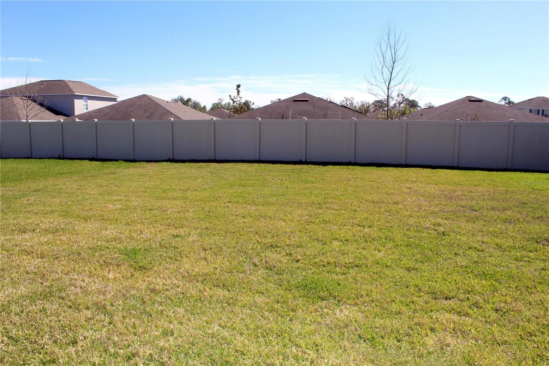 17152 Sunshine Mimosa Street Wimauma FL 33598