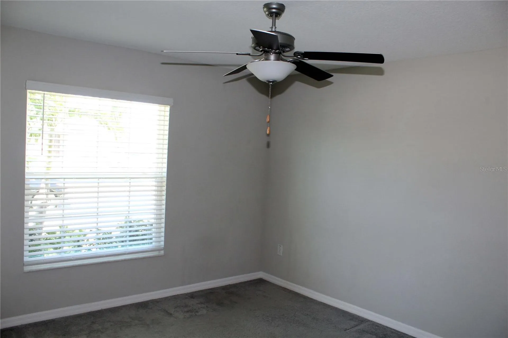 17152 Sunshine Mimosa Street Wimauma FL 33598