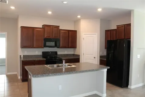 17152 Sunshine Mimosa Street Wimauma FL 33598
