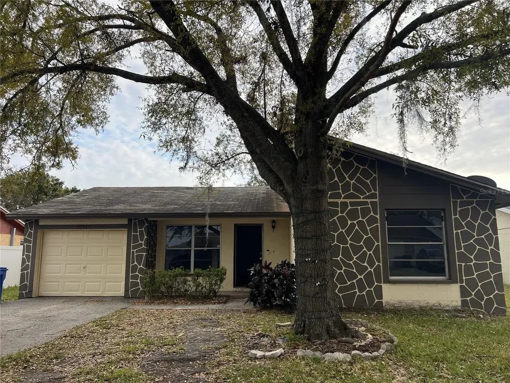 10116 Hunters Point Court Tampa FL 33615