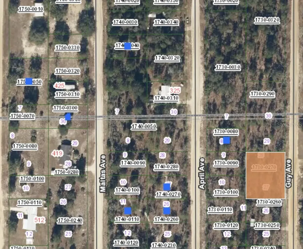 00 Guy Avenue Interlachen FL 32148