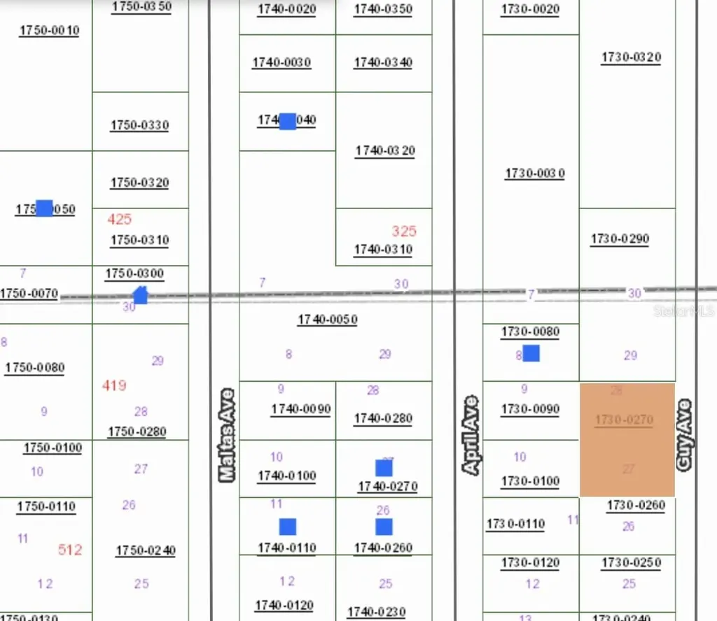 00 Guy Avenue Interlachen FL 32148