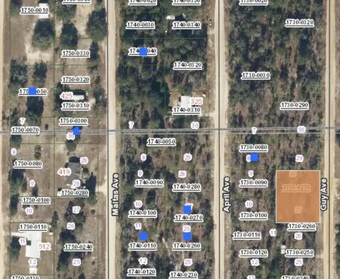 00 Guy Avenue Interlachen FL 32148