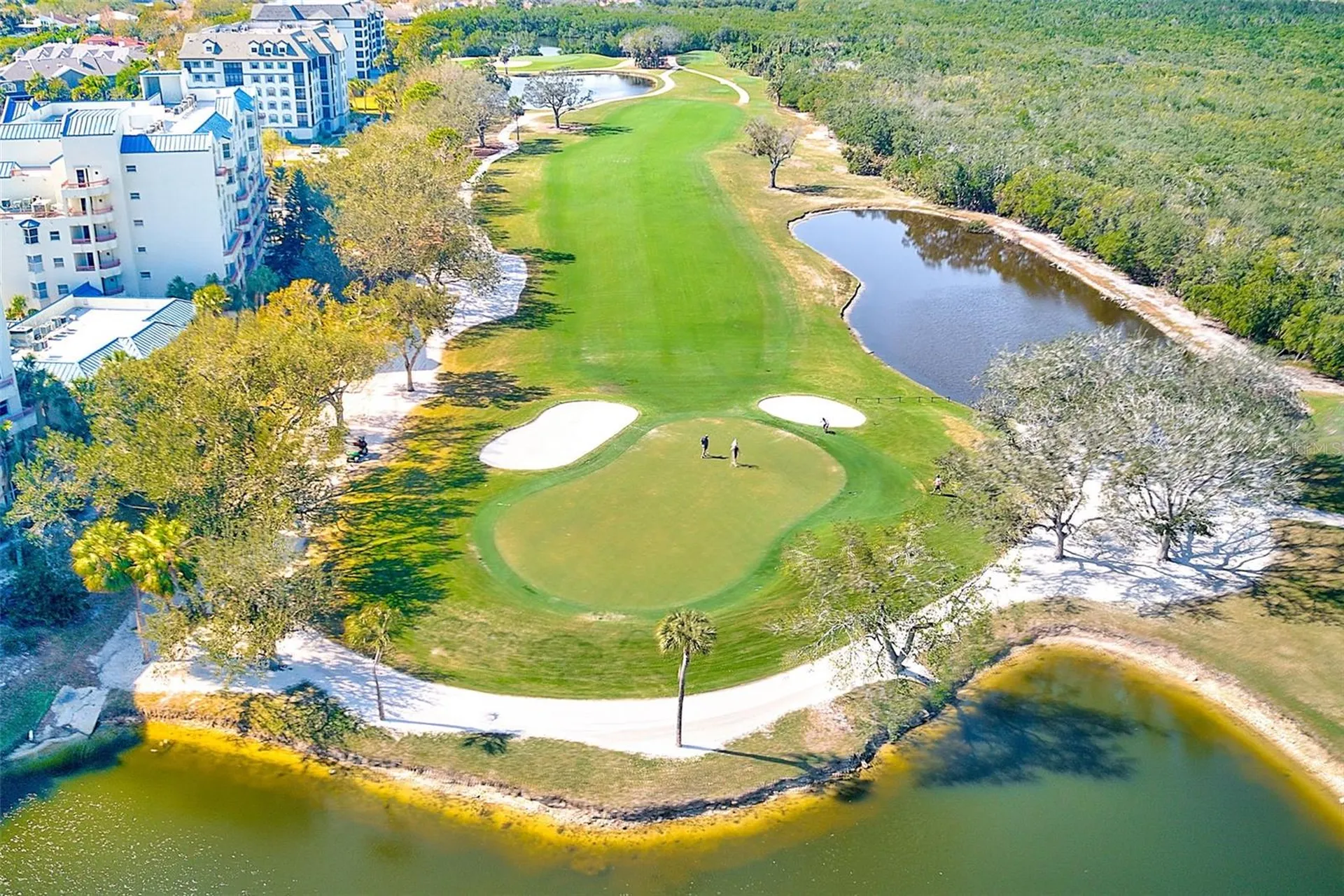 2333 Feather Sound Drive Clearwater FL 33762
