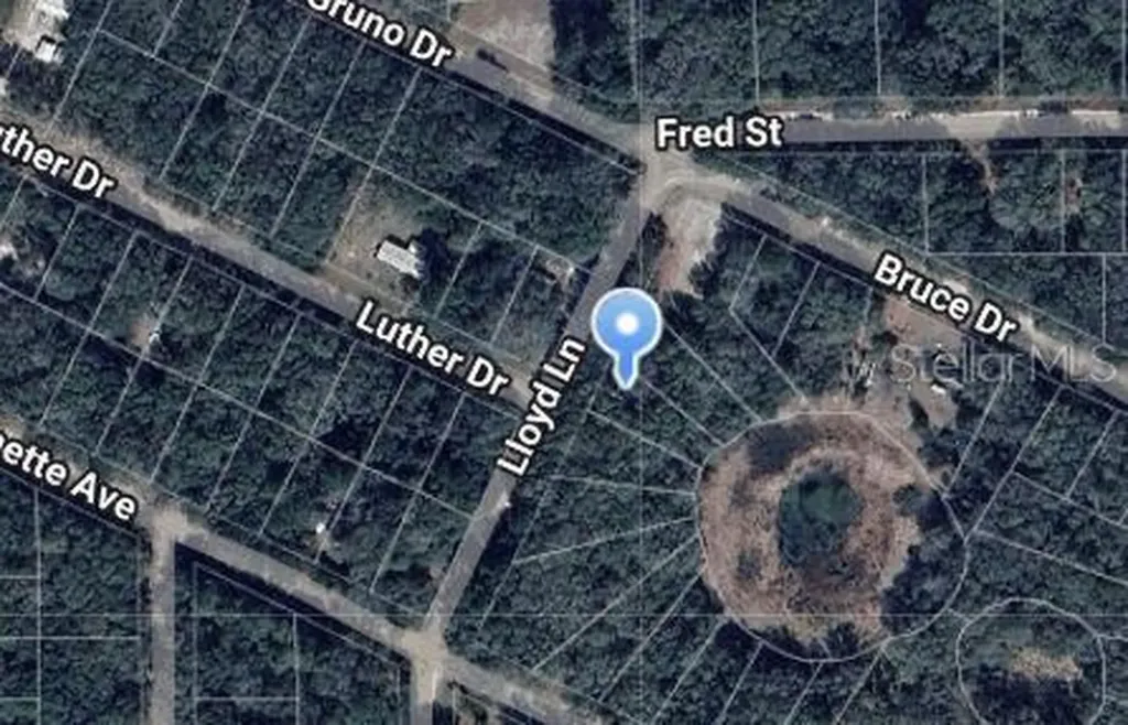 Lloyd Drive Interlachen FL 32148