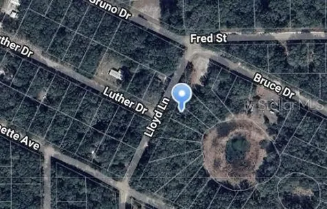 Lloyd Drive Interlachen FL 32148