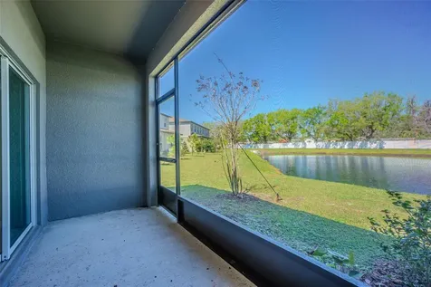 21385 Darter Road Land O Lakes FL 34638