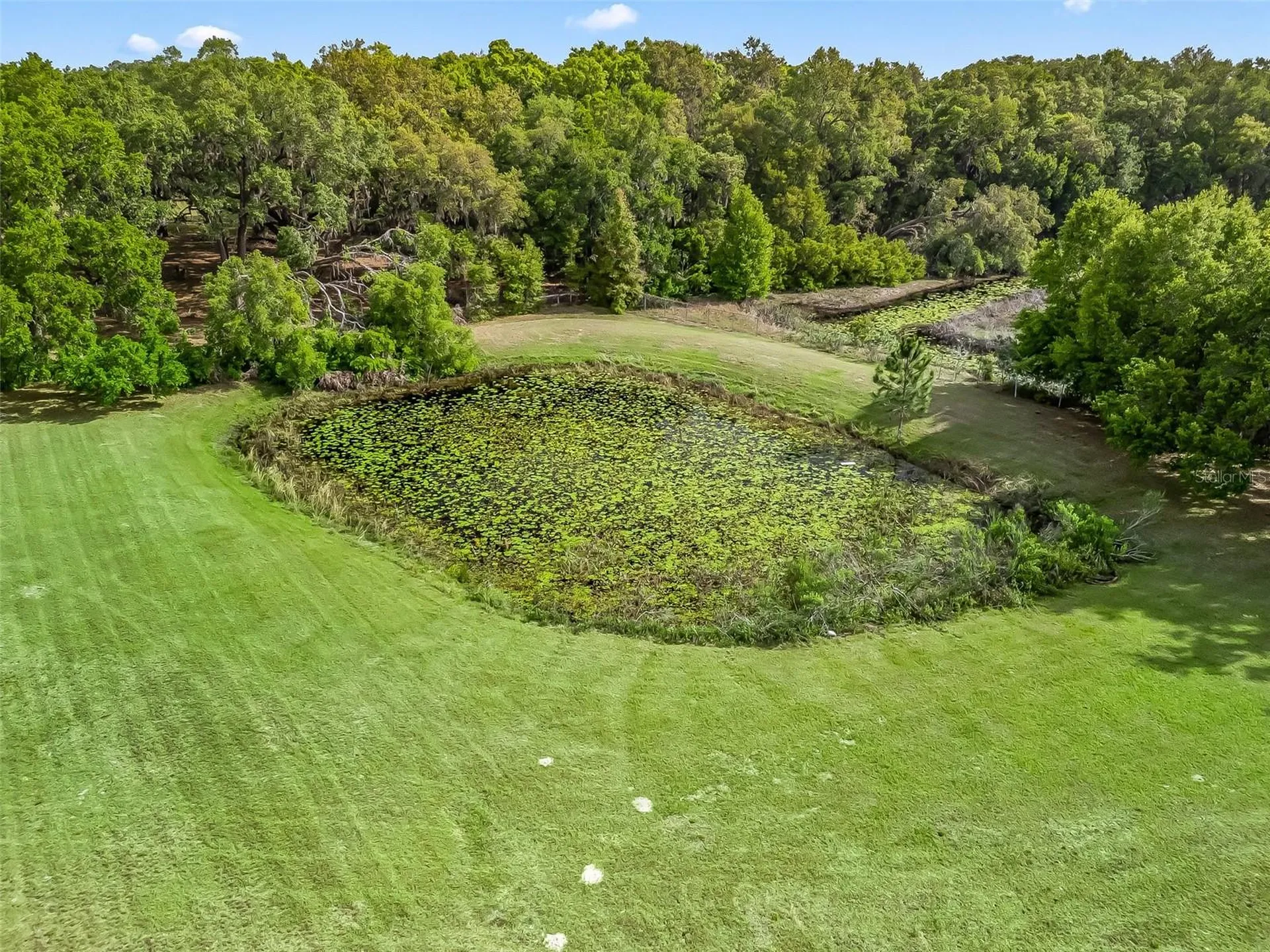 747 & 803 County Road 466a Fruitland Park FL 34731