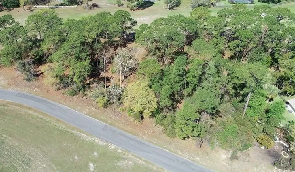 5339 Keysville Avenue Spring Hill FL 34608