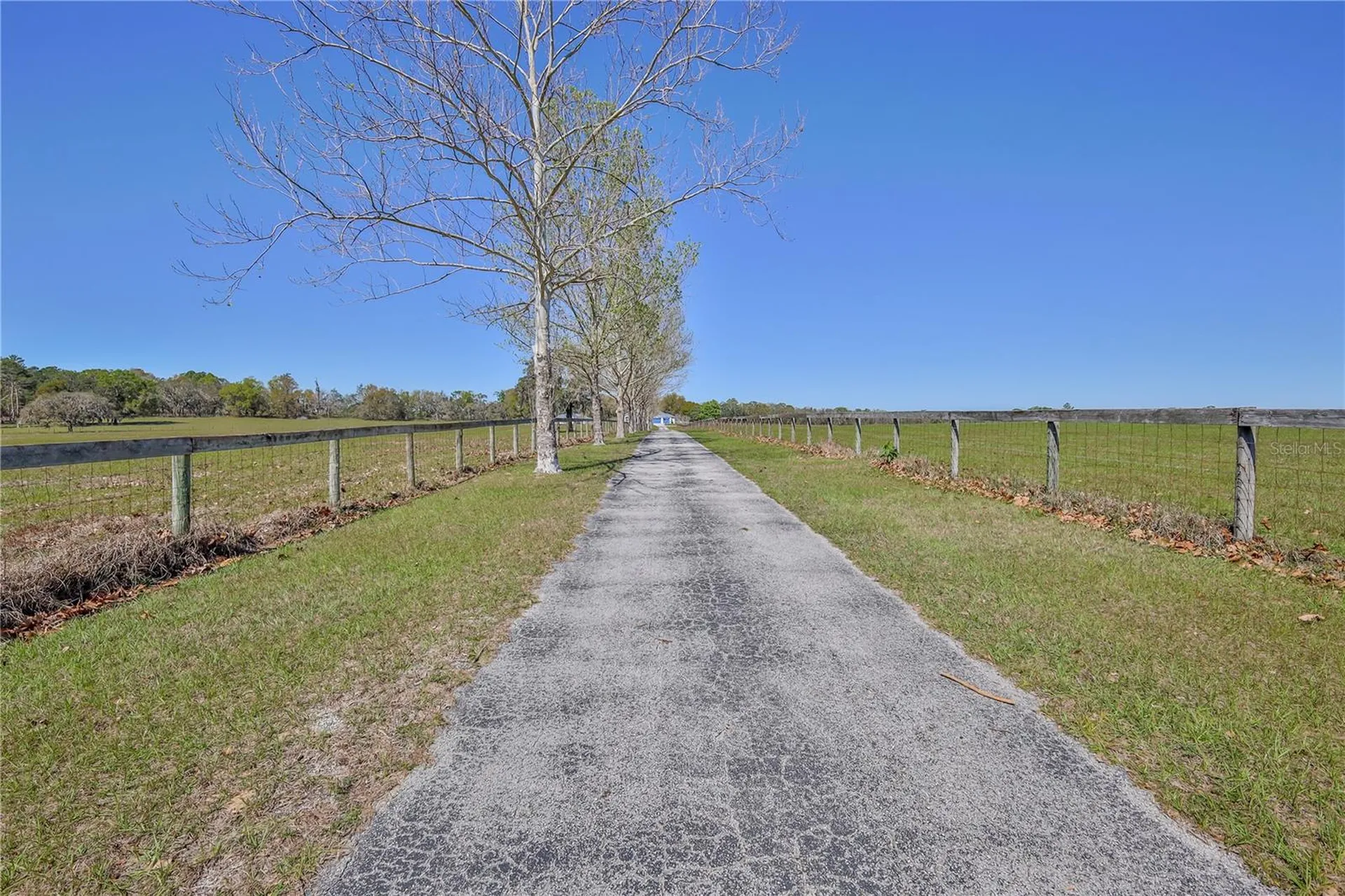 13496 S Oakview Avenue Floral City FL 34436