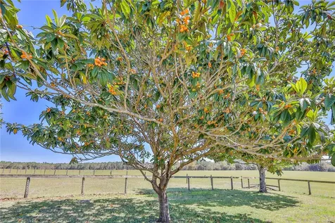 13496 S Oakview Avenue Floral City FL 34436