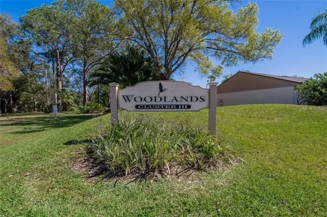 370 S Woodlands Drive Oldsmar FL 34677