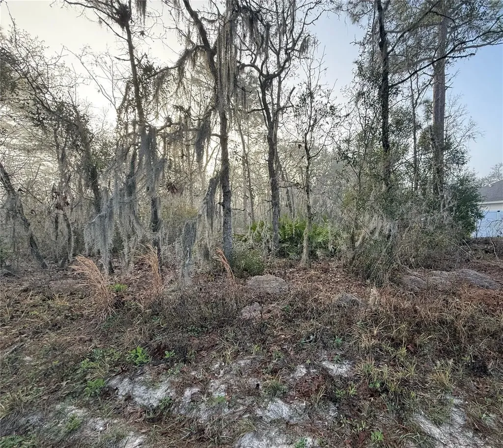 16009 SW 57th Terrace Road Ocala FL 34473