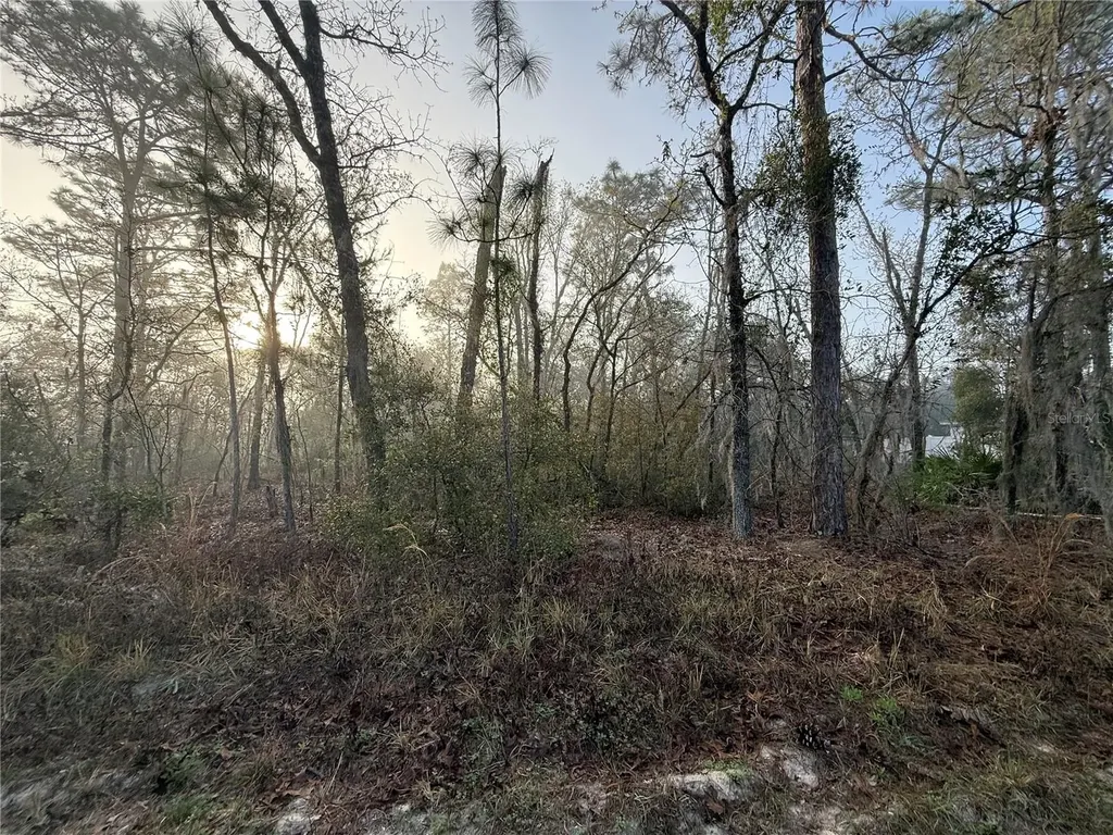 16009 SW 57th Terrace Road Ocala FL 34473