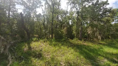 16009 SW 57th Terrace Road Ocala FL 34473