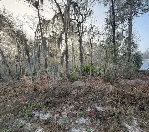 16009 SW 57th Terrace Road Ocala FL 34473