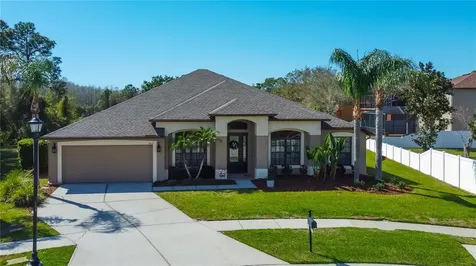 14813 Princewood Lane Land O Lakes FL 34638