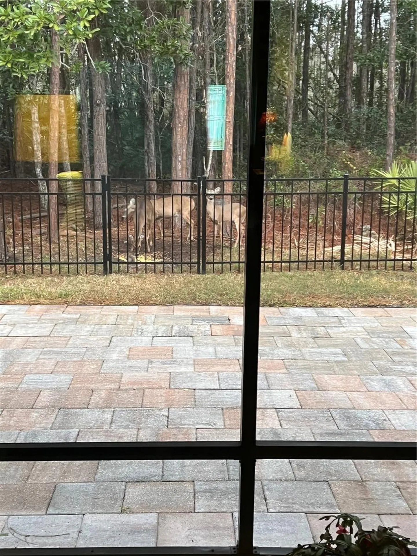 45 Lob Wedge Lane Bunnell FL 32110