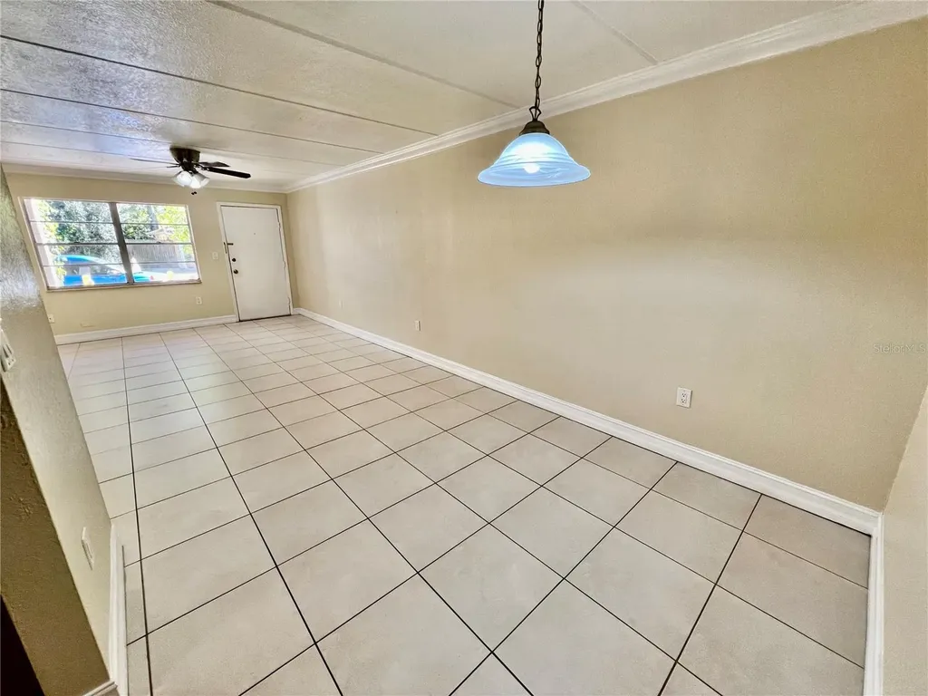 5221 Bayshore Boulevard Tampa FL 33611