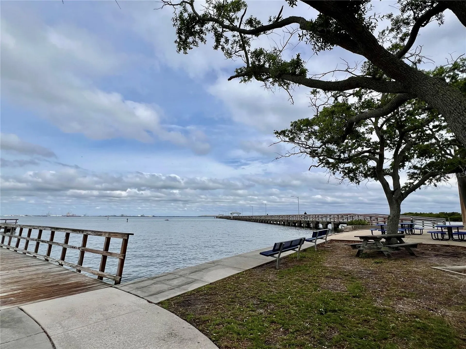 5221 Bayshore Boulevard Tampa FL 33611