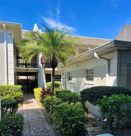 5221 Bayshore Boulevard Tampa FL 33611