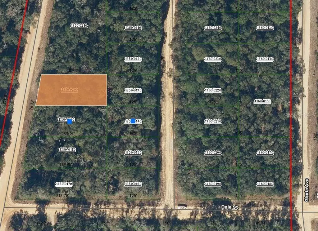 00 Walker Drive Interlachen FL 32148