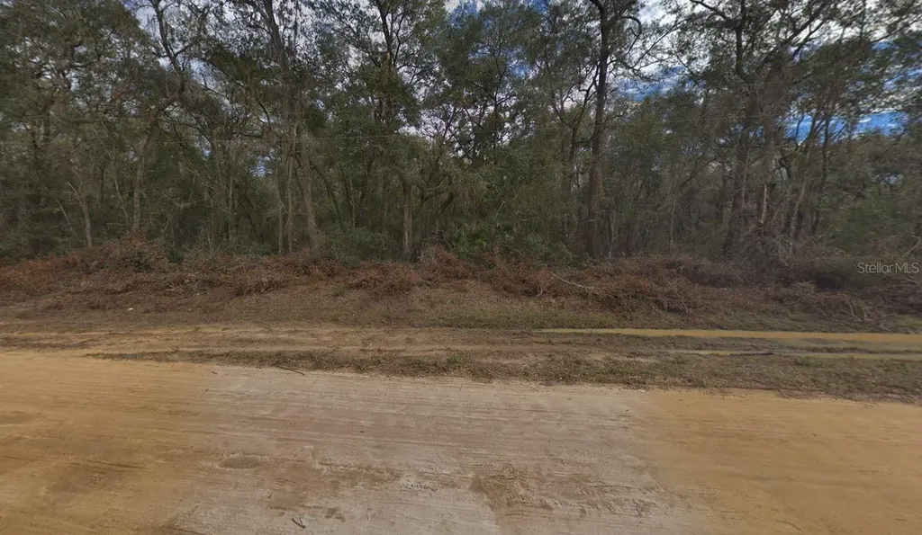 00 Walker Drive Interlachen FL 32148