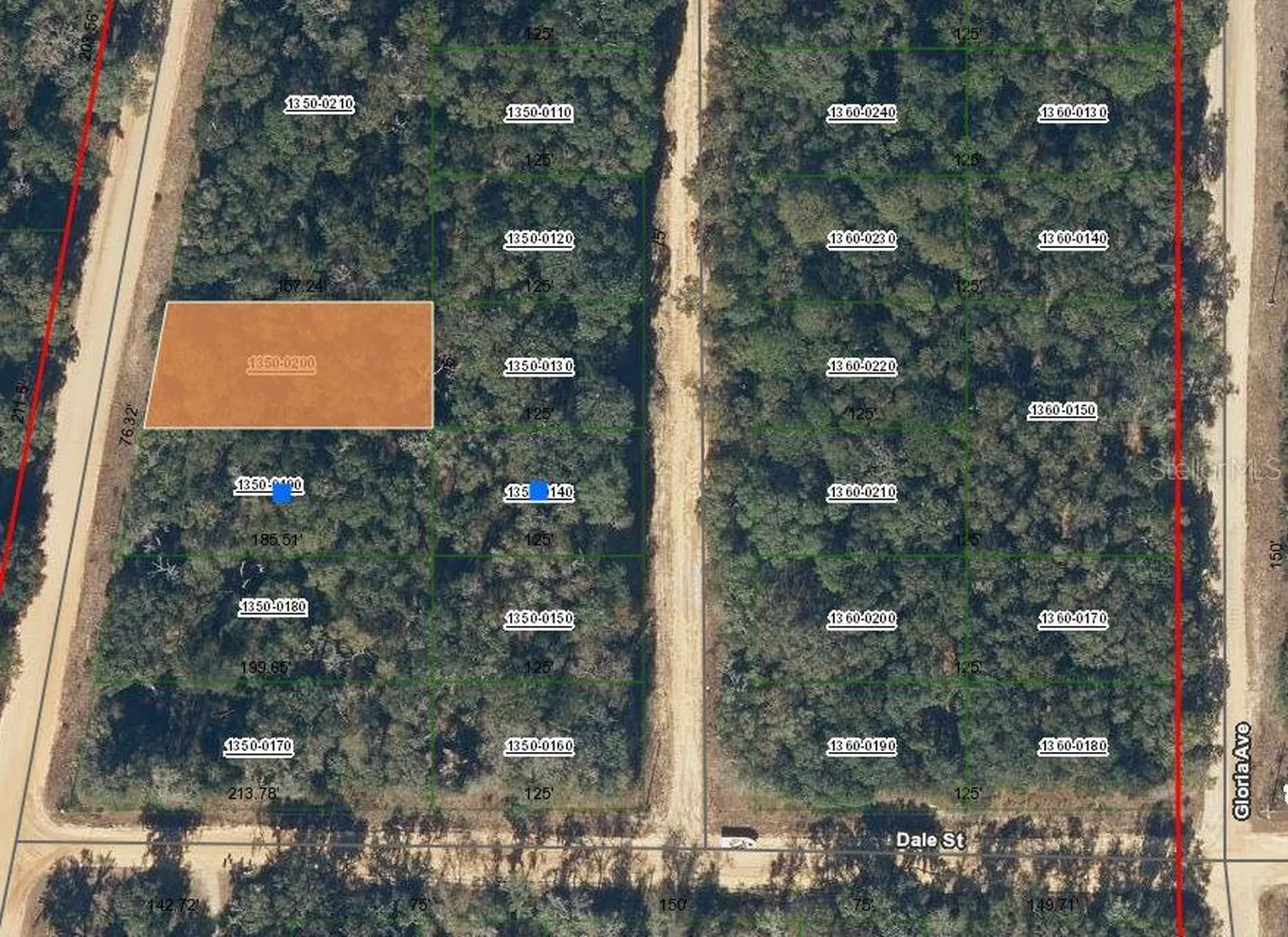 00 Walker Drive Interlachen FL 32148