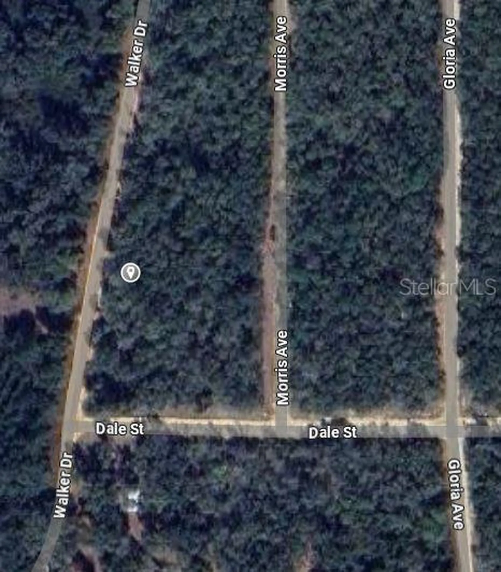 00 Walker Drive Interlachen FL 32148