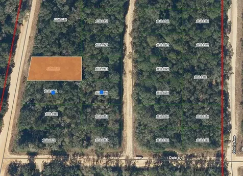 00 Walker Drive Interlachen FL 32148