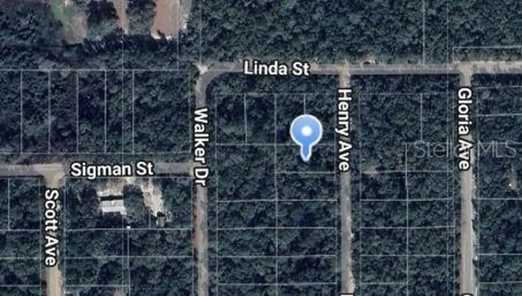 Henry Avenue Interlachen FL 32148