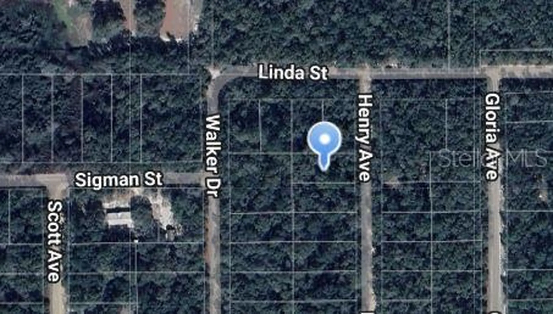 Henry Avenue Interlachen FL 32148