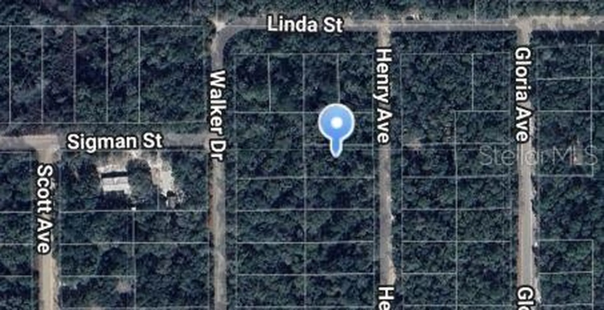 Henry Avenue Interlachen FL 32148