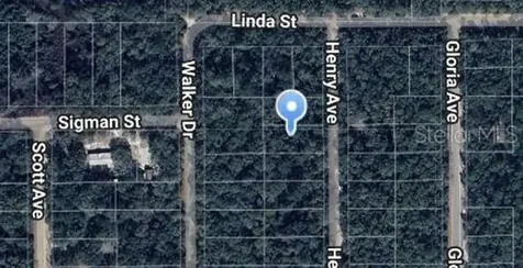 Henry Avenue Interlachen FL 32148