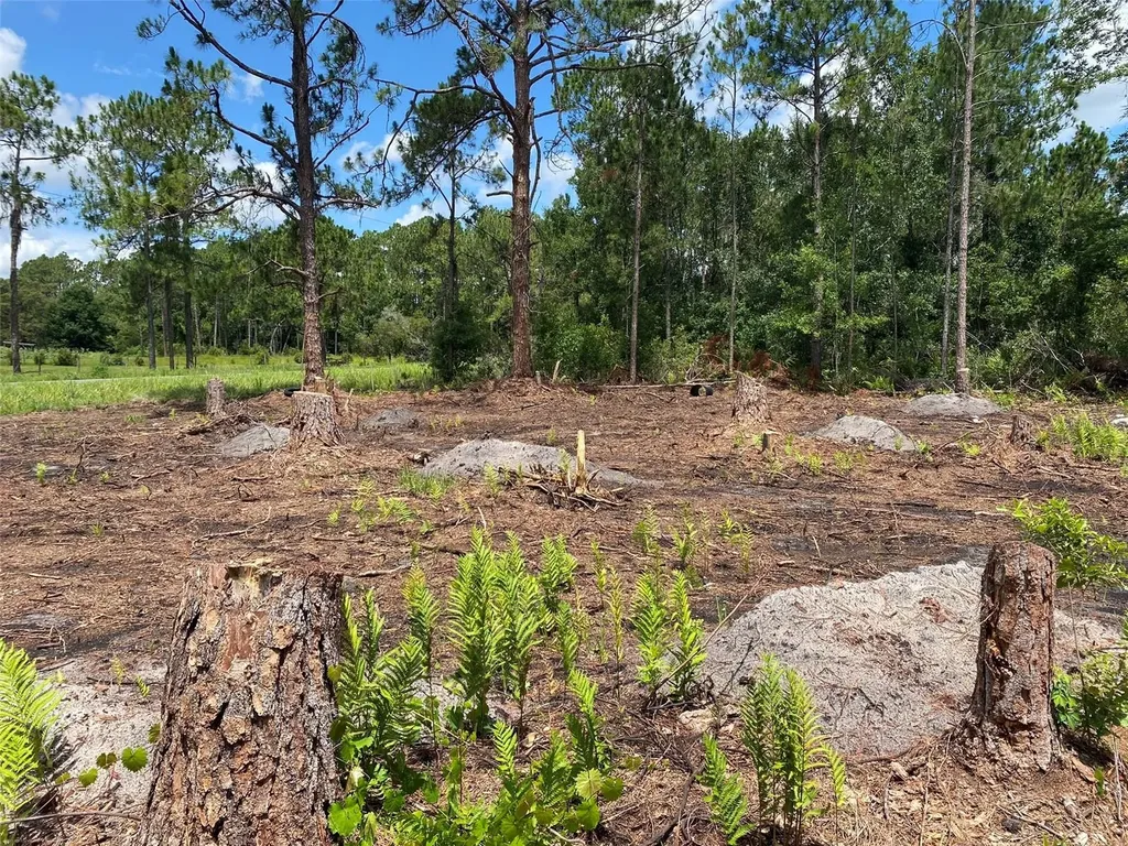 2101 W Frostproof Road Frostproof FL 33843