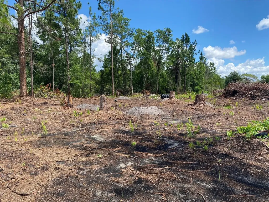 2101 W Frostproof Road Frostproof FL 33843