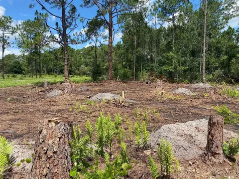 2101 W Frostproof Road Frostproof FL 33843