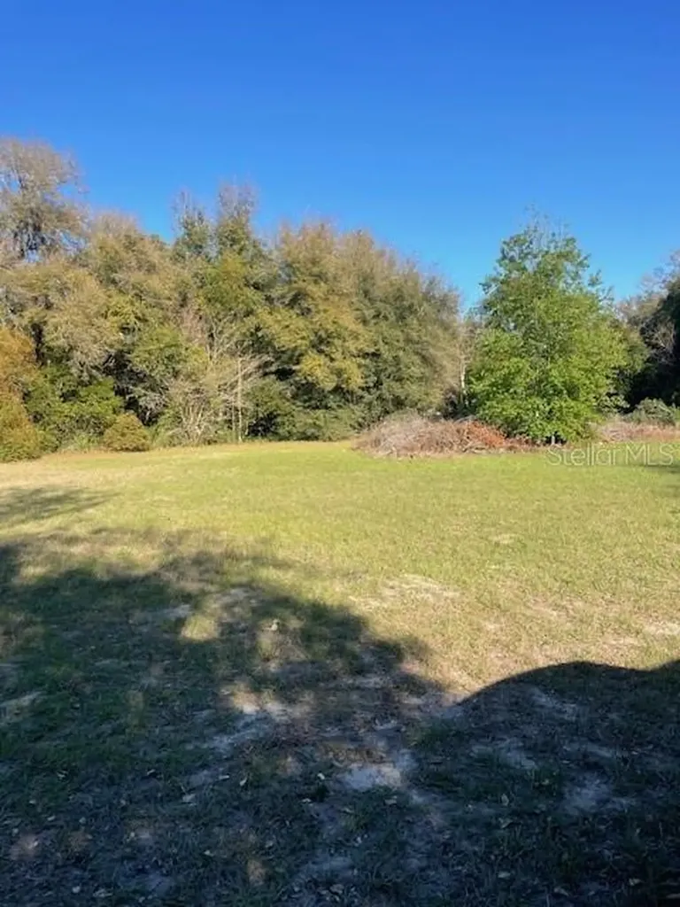 31415 Orange Street Sorrento FL 32776